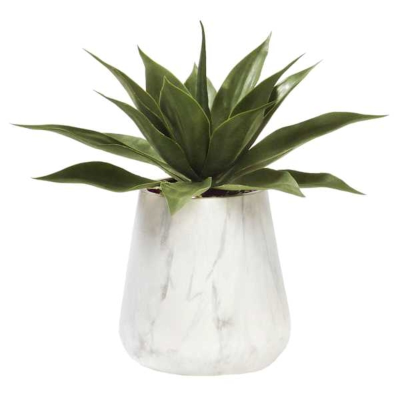 Agave with Marbled Planter, 18″