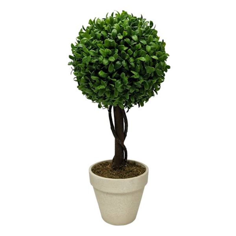 Boxwood Ball Topiary Plant in White Planter, 17″