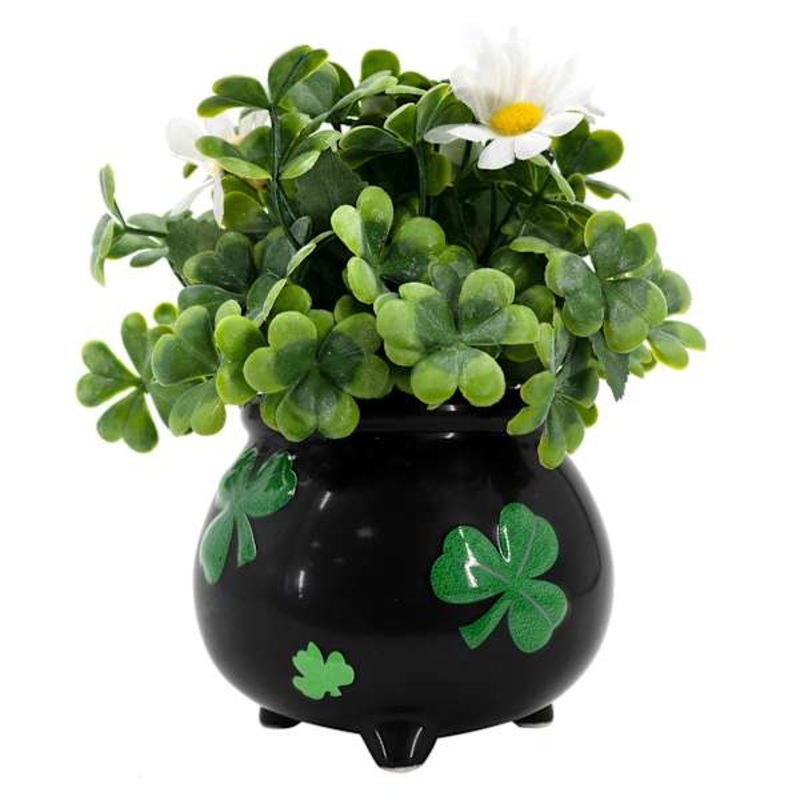 Boxwood in Shamrock Pot, 8″