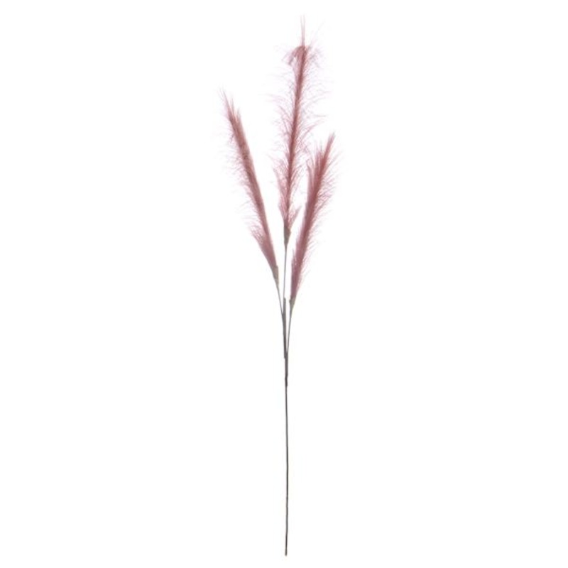 Dark Pink Pampas Grass Spray, 48″
