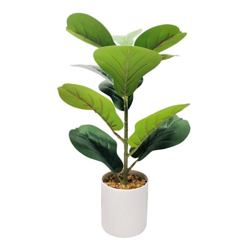 Fiddle Leaf Fig Plant in White Planter, 20″