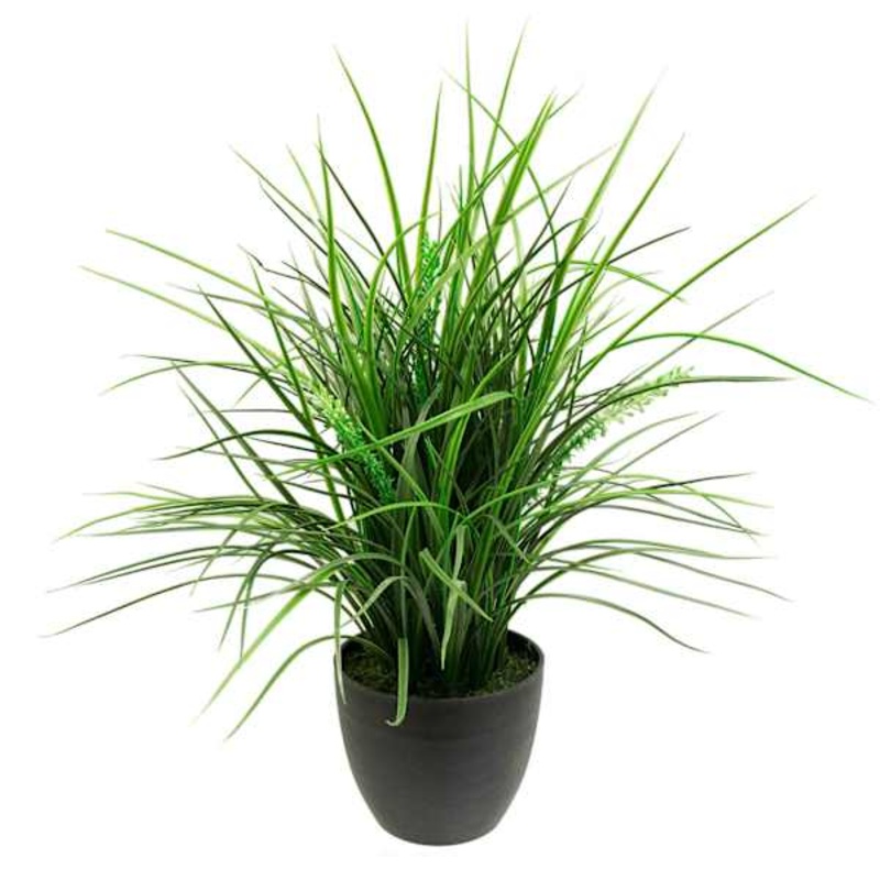 Grass Plant with Black Planter, 20″