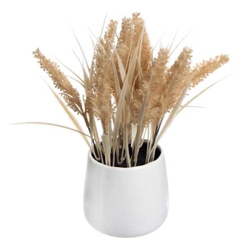 Honeybloom Brown Dog Tail in Ceramic Pot, 11″