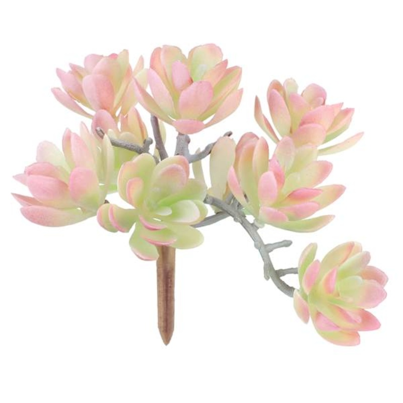 Light Pink Echeveria Pick, 5″