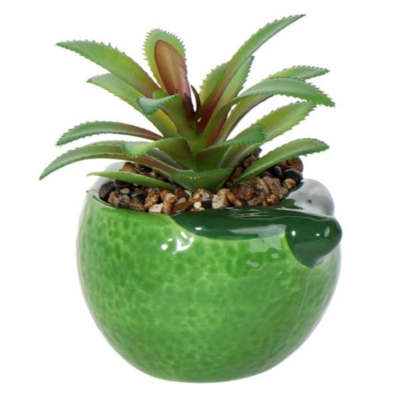 Mini Succulent in Green Lime Vase