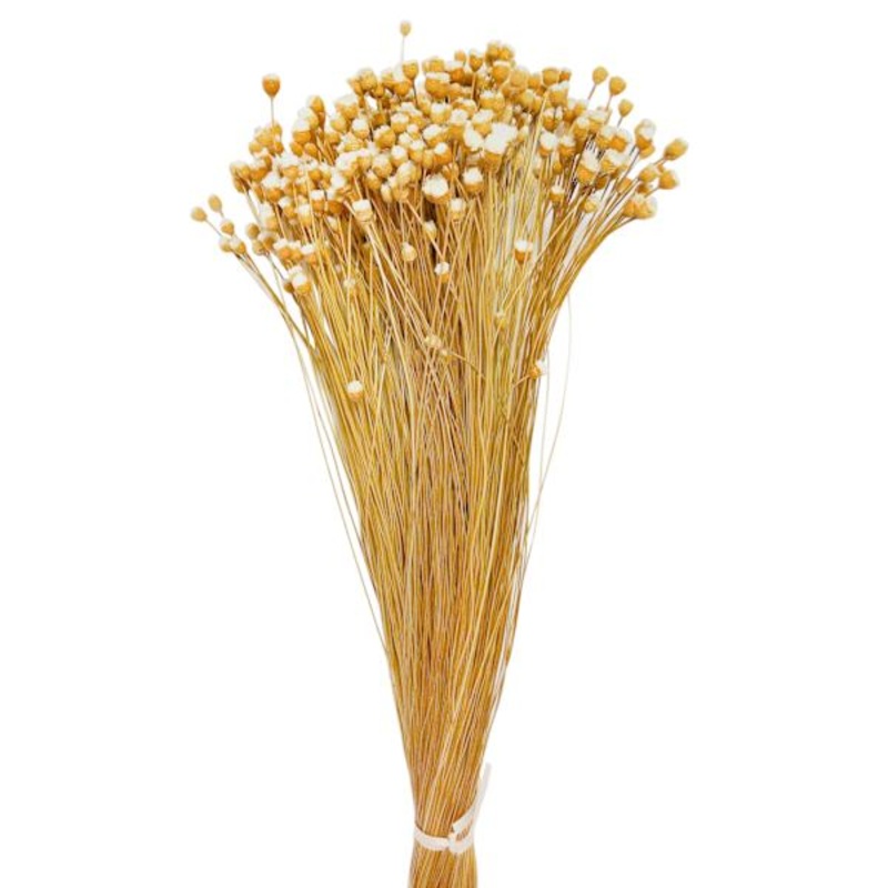 Natural Happy Flowers Bundle, 18″