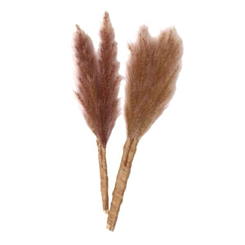 Set of 2 Tan Pampas Grass Pick, 6″