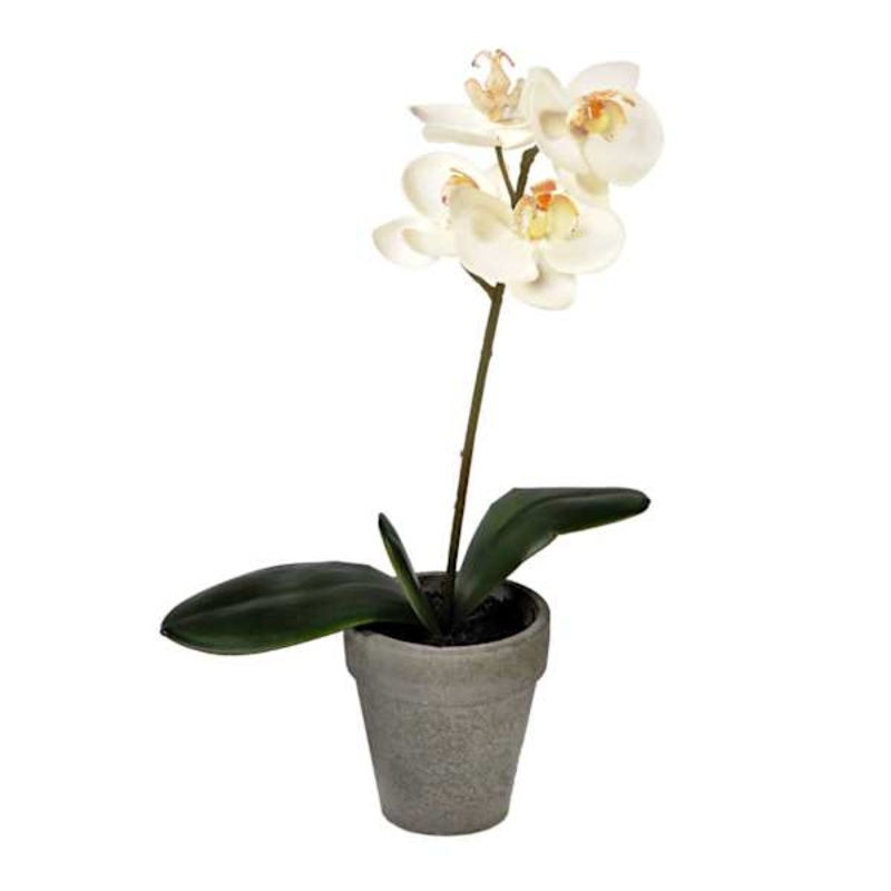 White Orchid Flower with Grey Planter, 13″