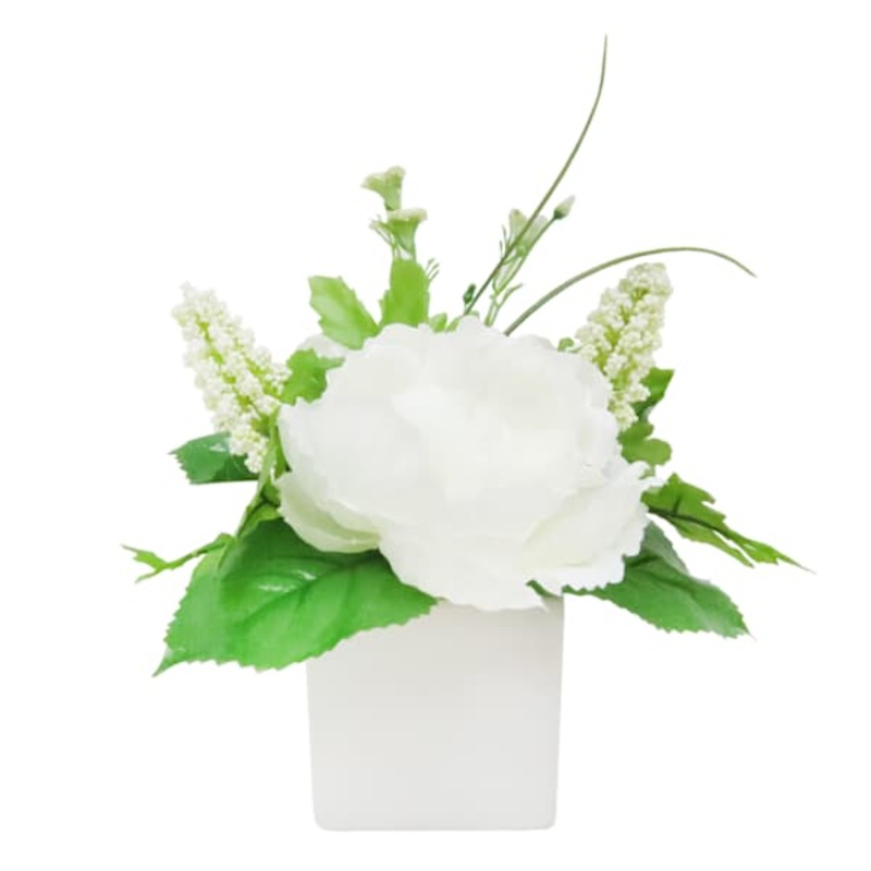 White Peony in Square Ceramic Pot, 7″