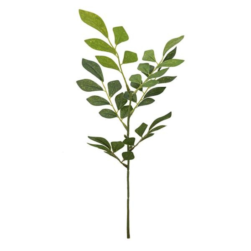 Willow Crossley Green Smilax Vine Pick, 10″