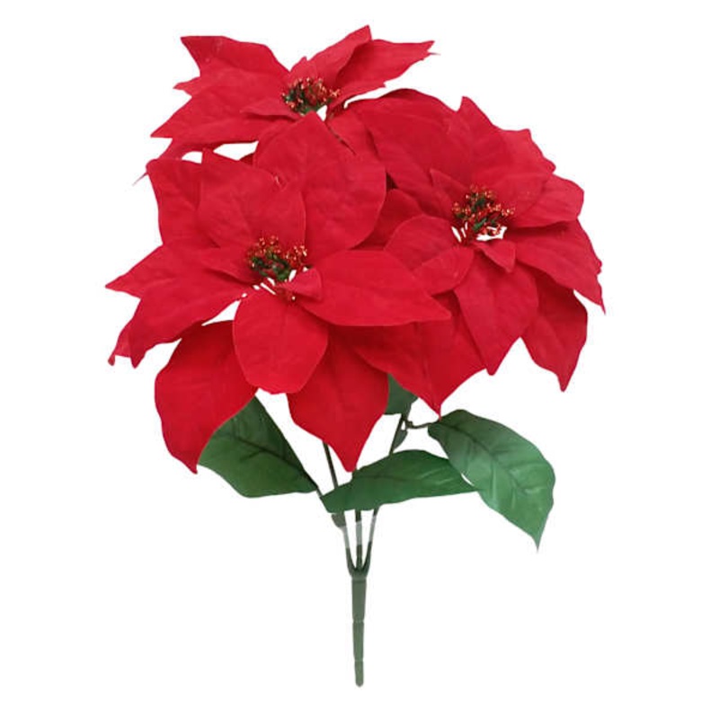3-Pack Red Poinsettia Bush, 17.5″