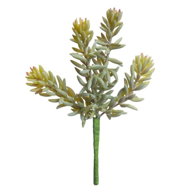 Ash Green Sedum Pick, 7″