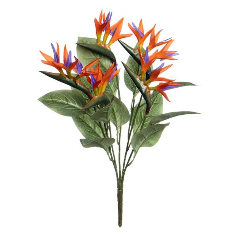 Bird of Paradise Wreath, 22″