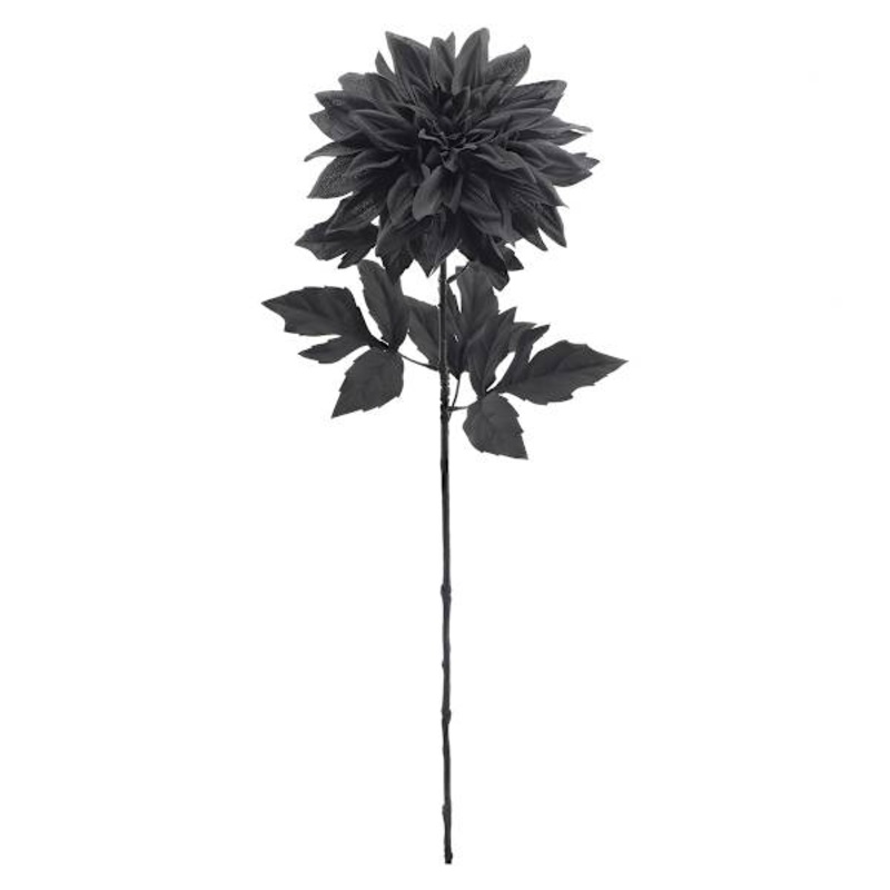 Black Dahlia Stem | At Home