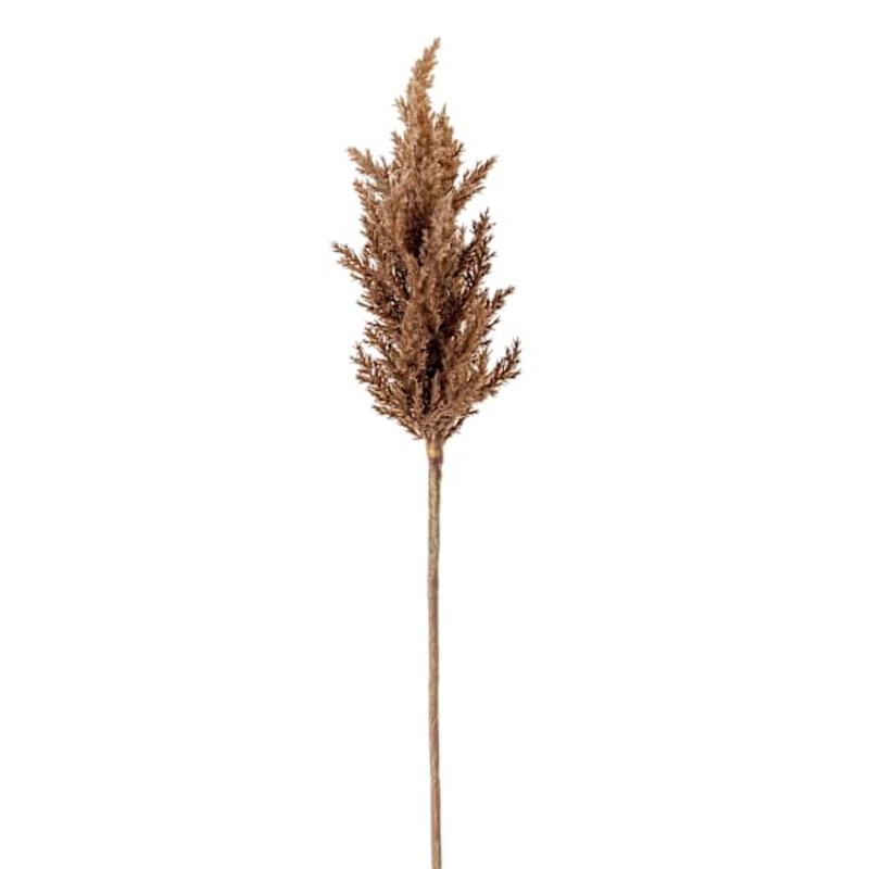 Brown Astilbe Stem, 36″