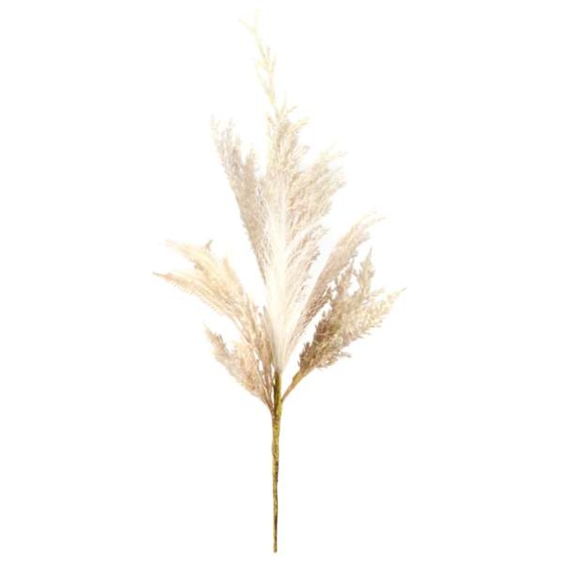Cream Pampas Grass Bundle, 20″