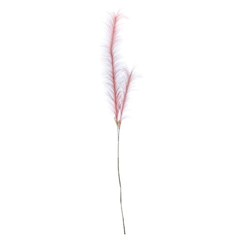 Dark Pink Pampas Grass Spray, 49″