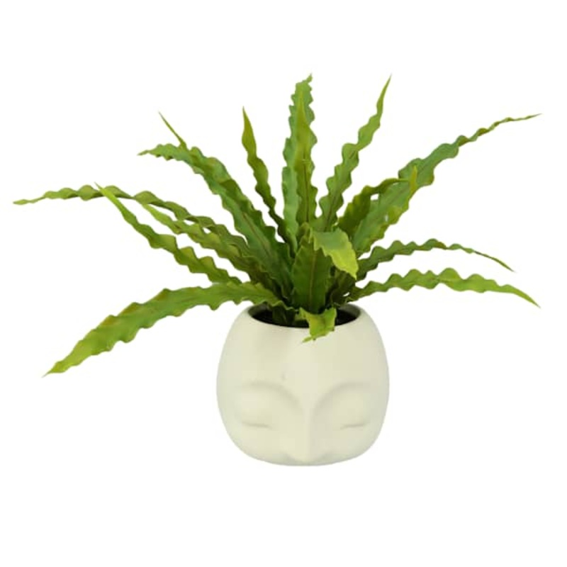 Fern in Face Pot, 12.5″
