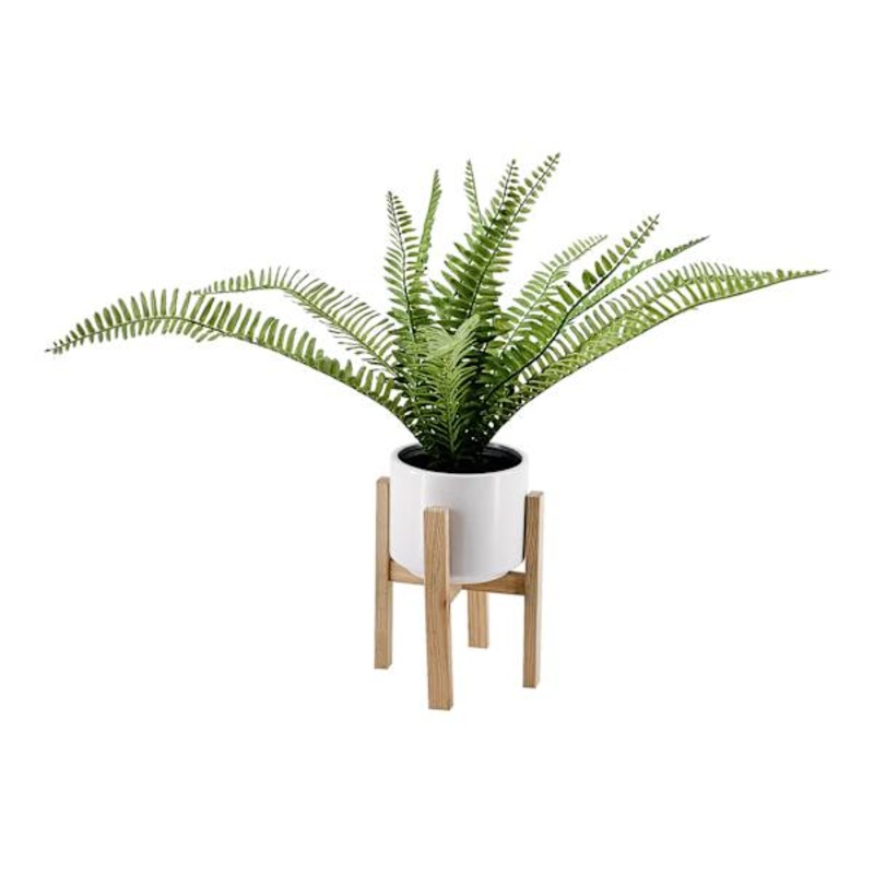 Fern in White Pot with Stand, 18″