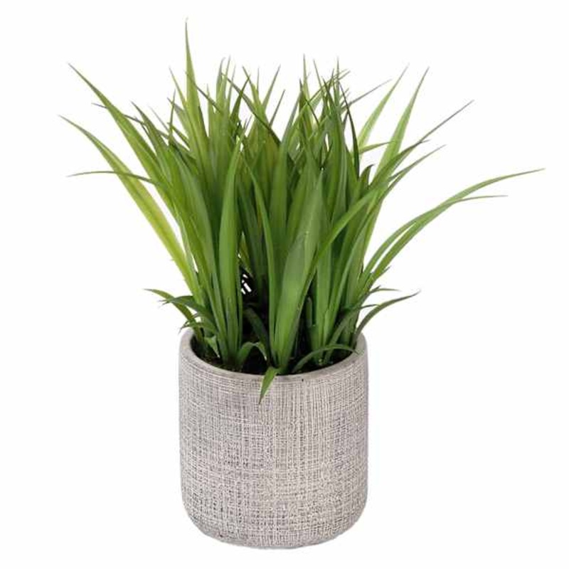 Grass Plant with Grey Planter, 8″