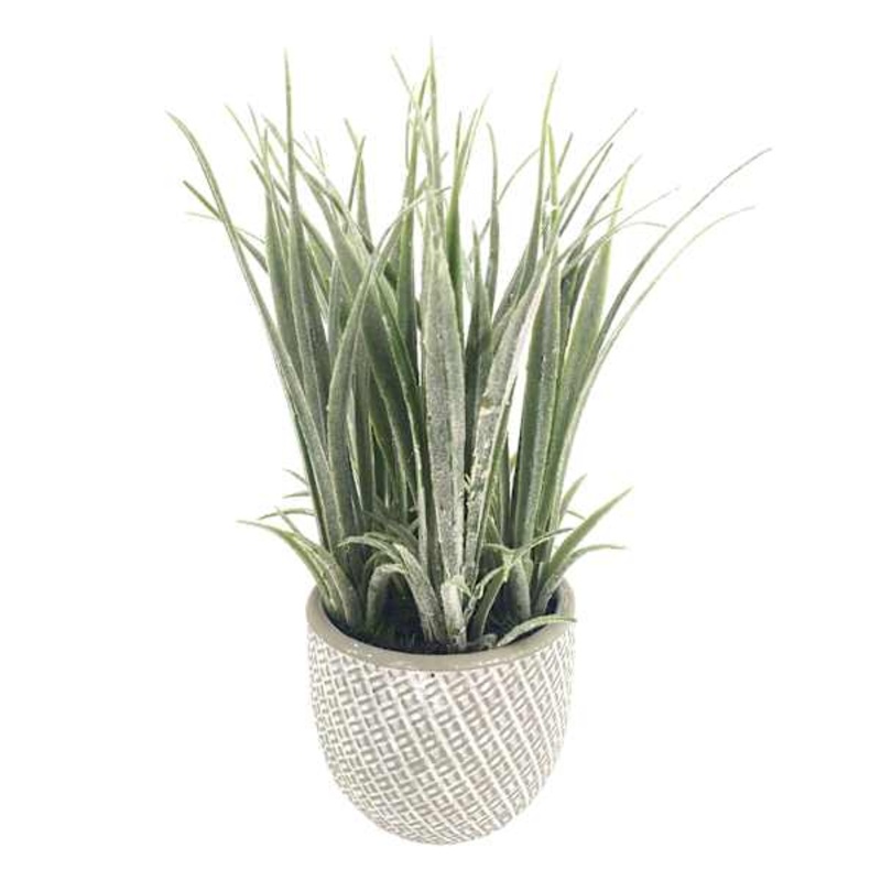 Grass Plant with White Cement Planter, 7″