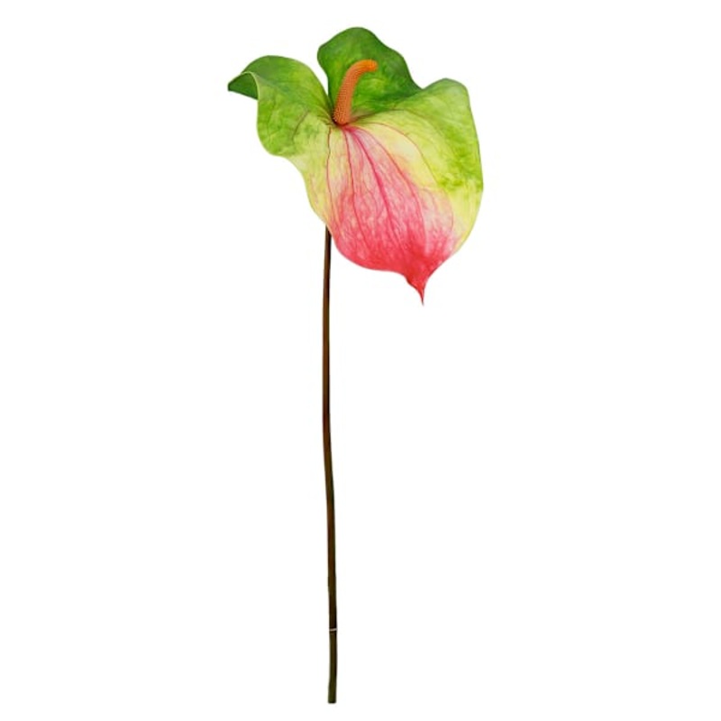 Green & Pink Anthurium Stem, 33.5″