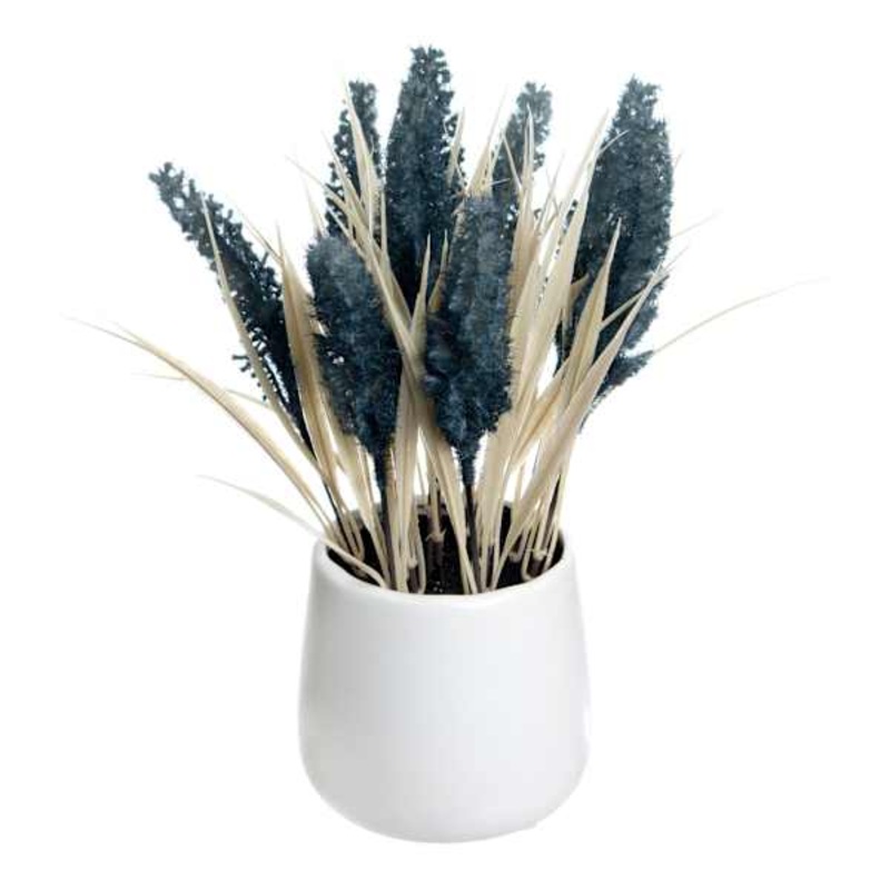 Honeybloom Blue Dog Tail in Ceramic Pot, 11″