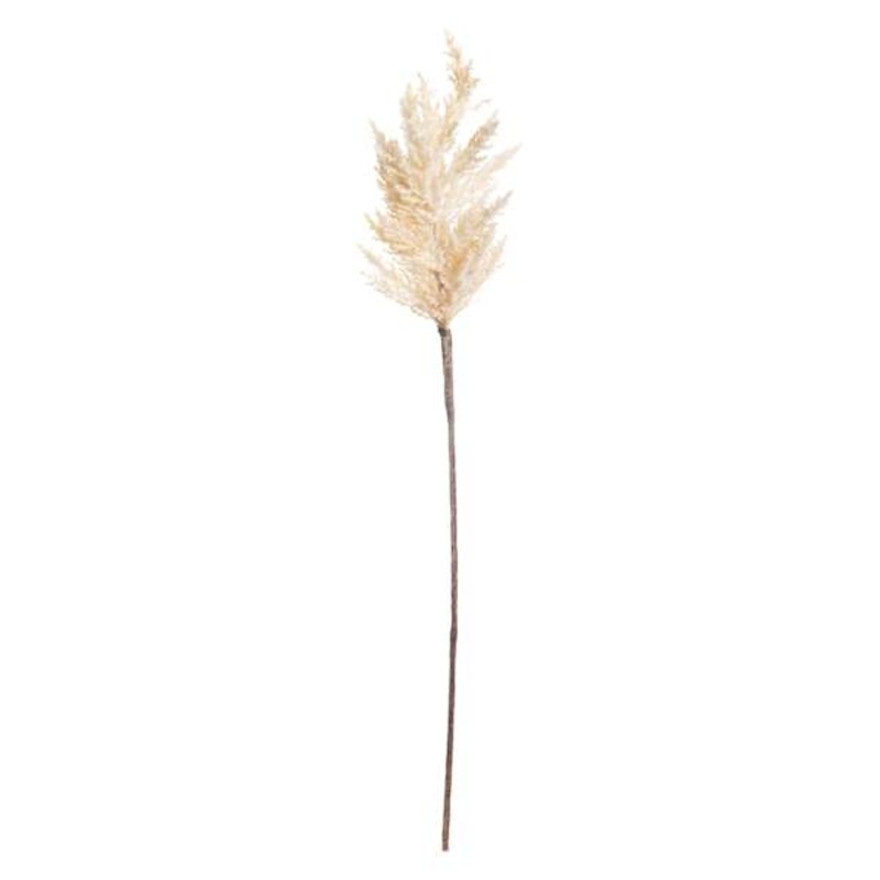 White Pampas Grass Stem, 36″