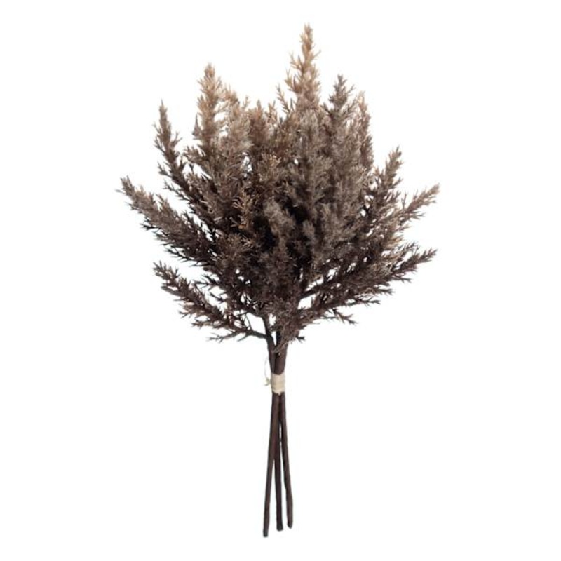 Brown Pampas Grass Bundle, 14″