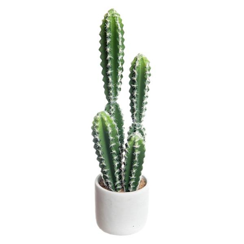 Cactus with White Planter, 18″
