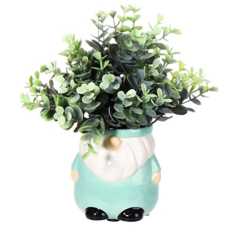 Eucalyptus in Green Gnome Pot