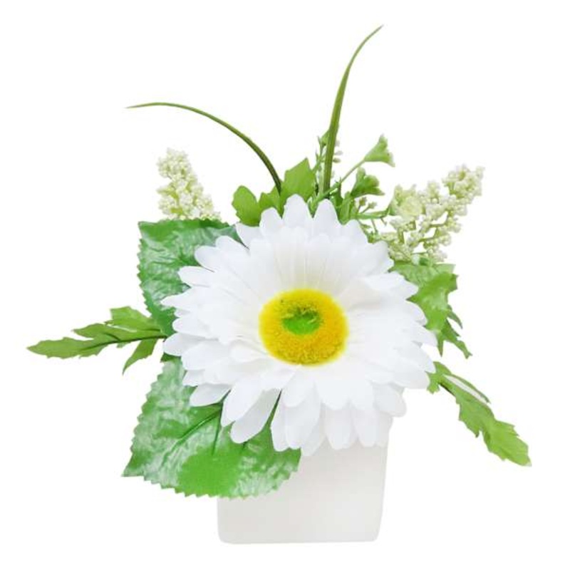Large White Daisy in White Ceramic Pot, 7″