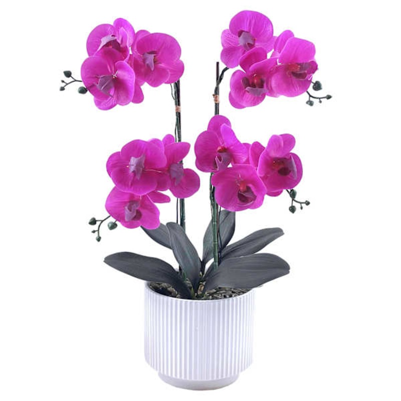 LED Orchid in Ceramic Pot, 21.5″