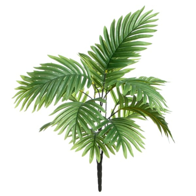 Palm Bush, 24″