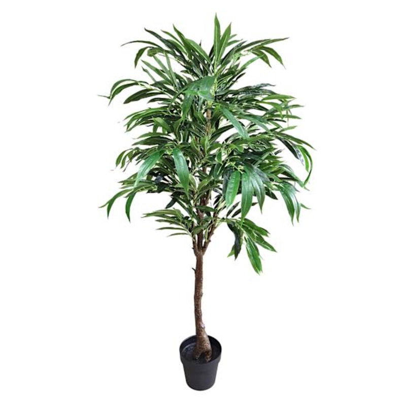 Potted Willow Tree, 5′
