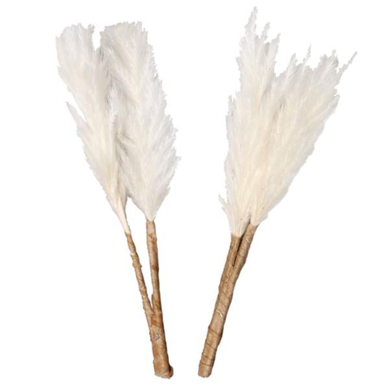 Set of 2 Cream Pampas Grass Pick, 6″