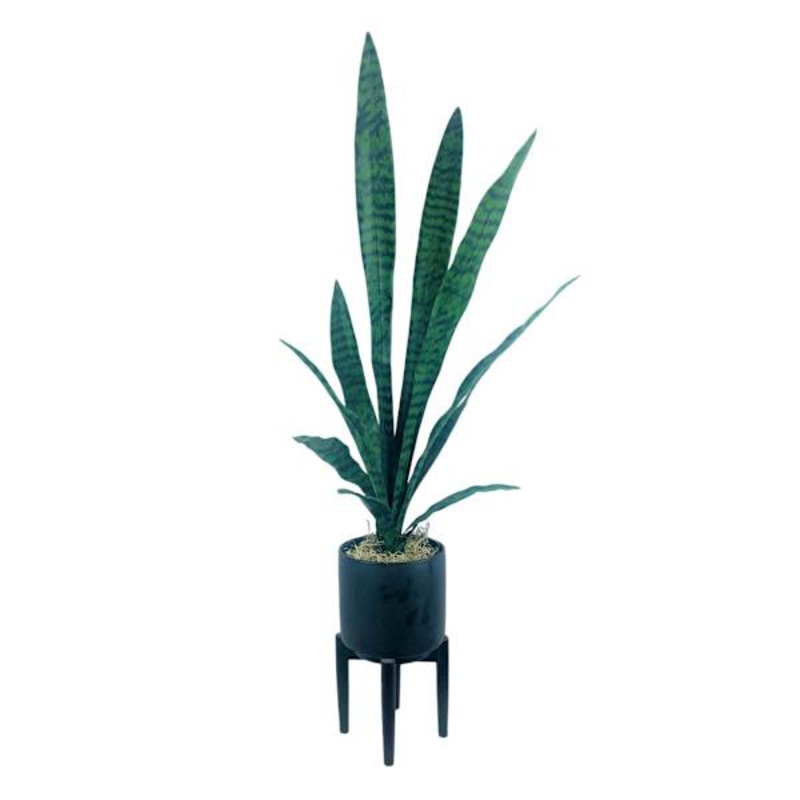 Snake Plant in Ceramic Stand, 44″
