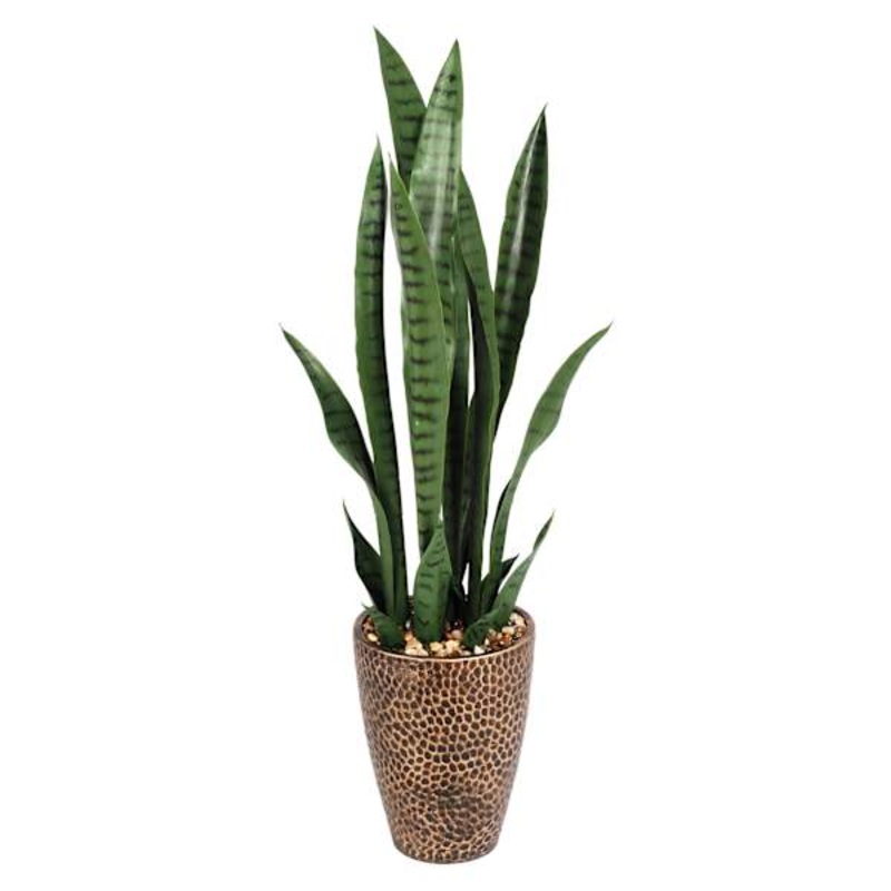 Snake Plant with Metal Planter, 33″