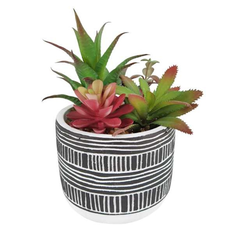 Succulent Arrangement Blue Cement Pot, 7.5″