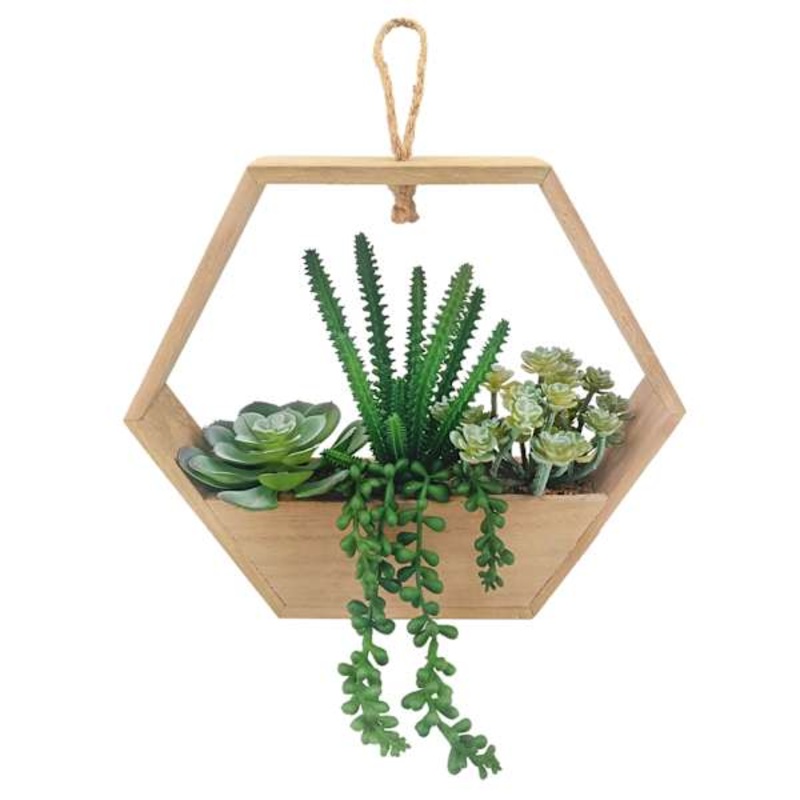 Succulent Arrangement with Wooden Box Planter, 9″