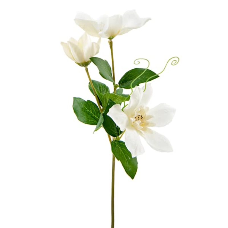 Willow Crossley White Clematis Floral Pick, 12″