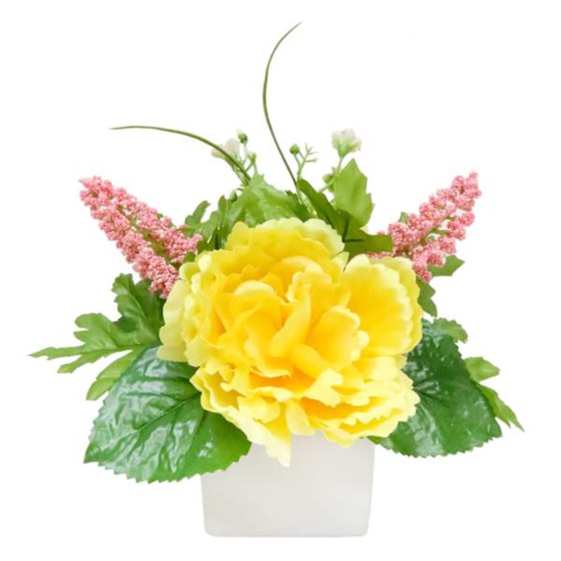 Yellow Peony in Square Ceramic Pot, 7″