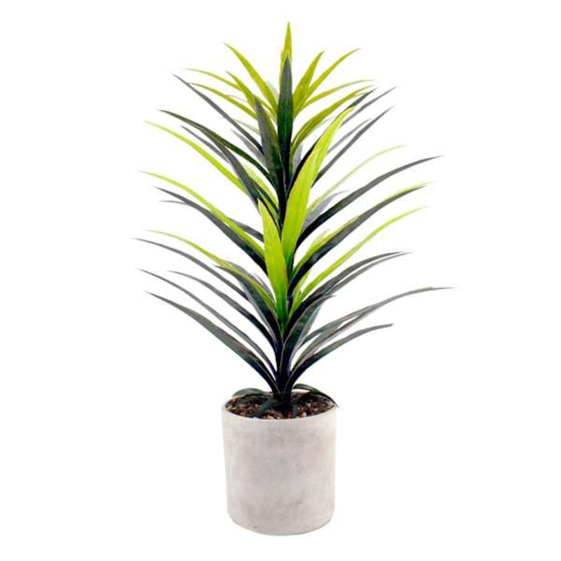Yucca Tree with Cement Planter, 42″