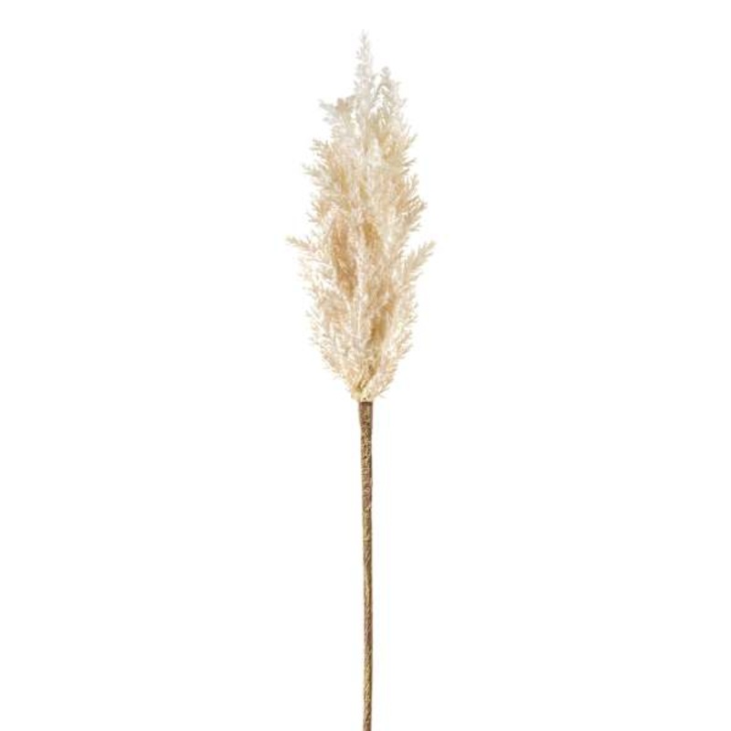 Cream Astilbe Stem, 36″