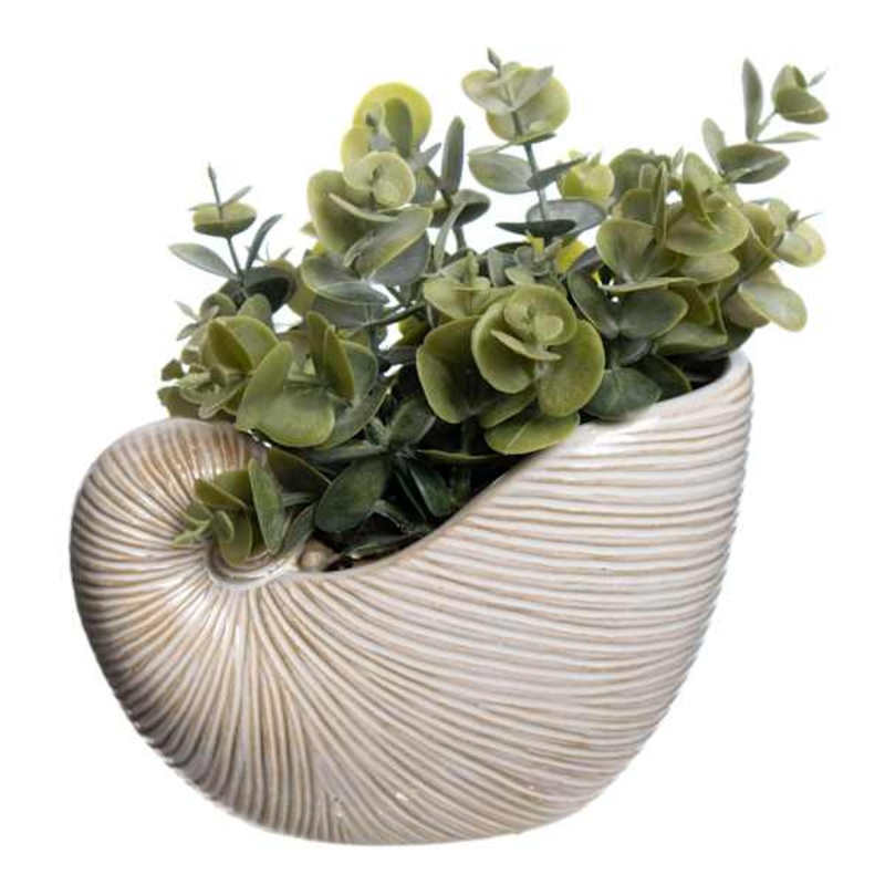 Eucalyptus in Ceramic Shell Pot, 7.5″