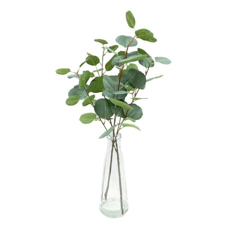 Eucalyptus Water Garden in Vase, 20″