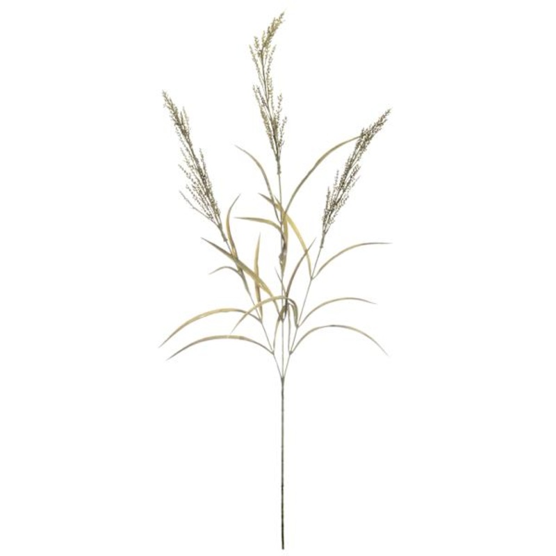 Green Dried Heather Spray, 33″