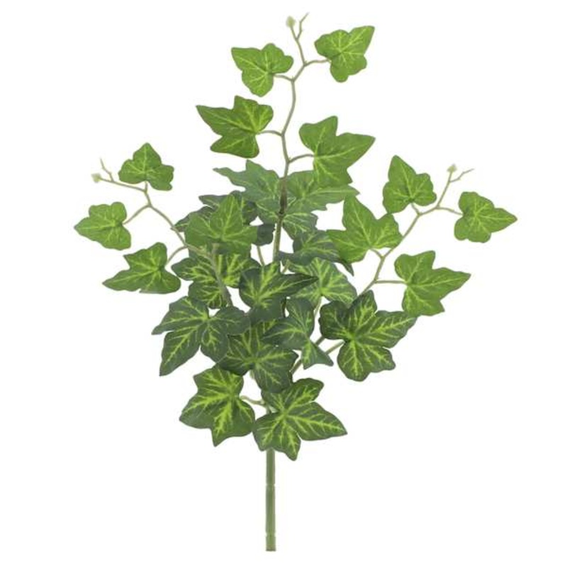 Green Ivy Pick, 12″