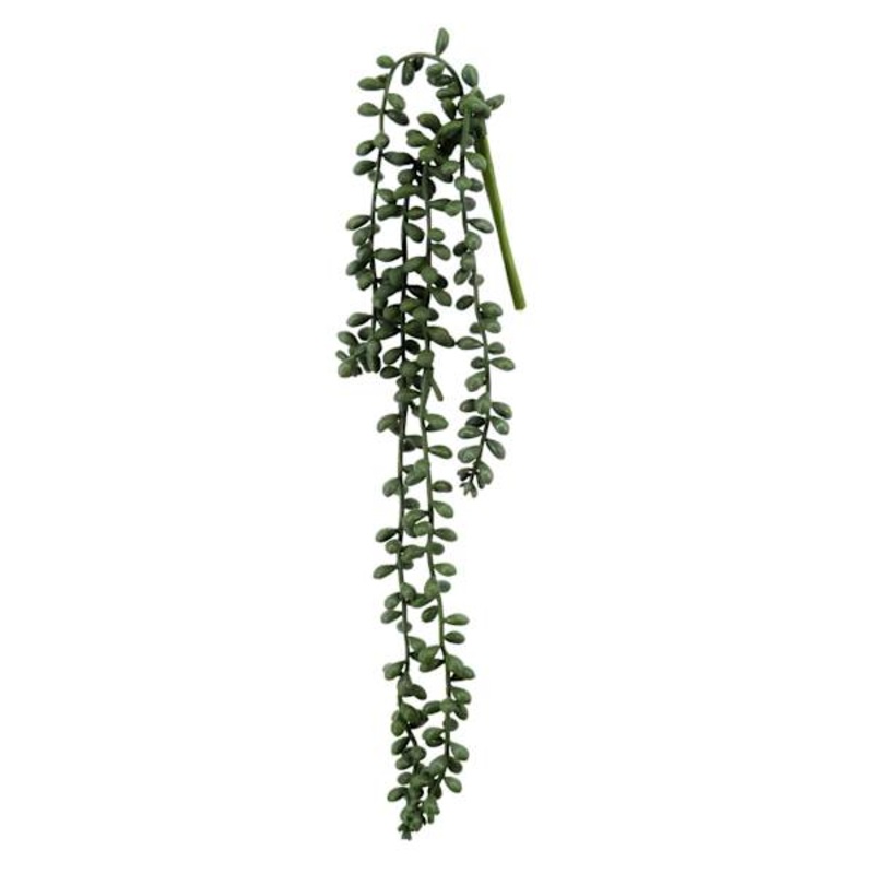 Green Nertera Berry Stem, 13.8″