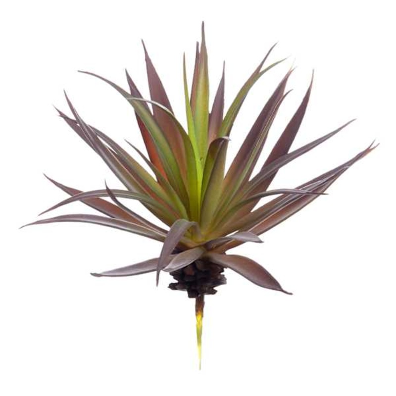 Green & Purple Aloe Pick, 7″